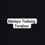Melayu Tudung Baru Terabox